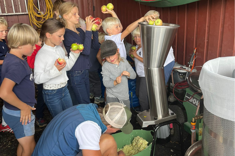 aktiviteter Øverland eplejuicepressing