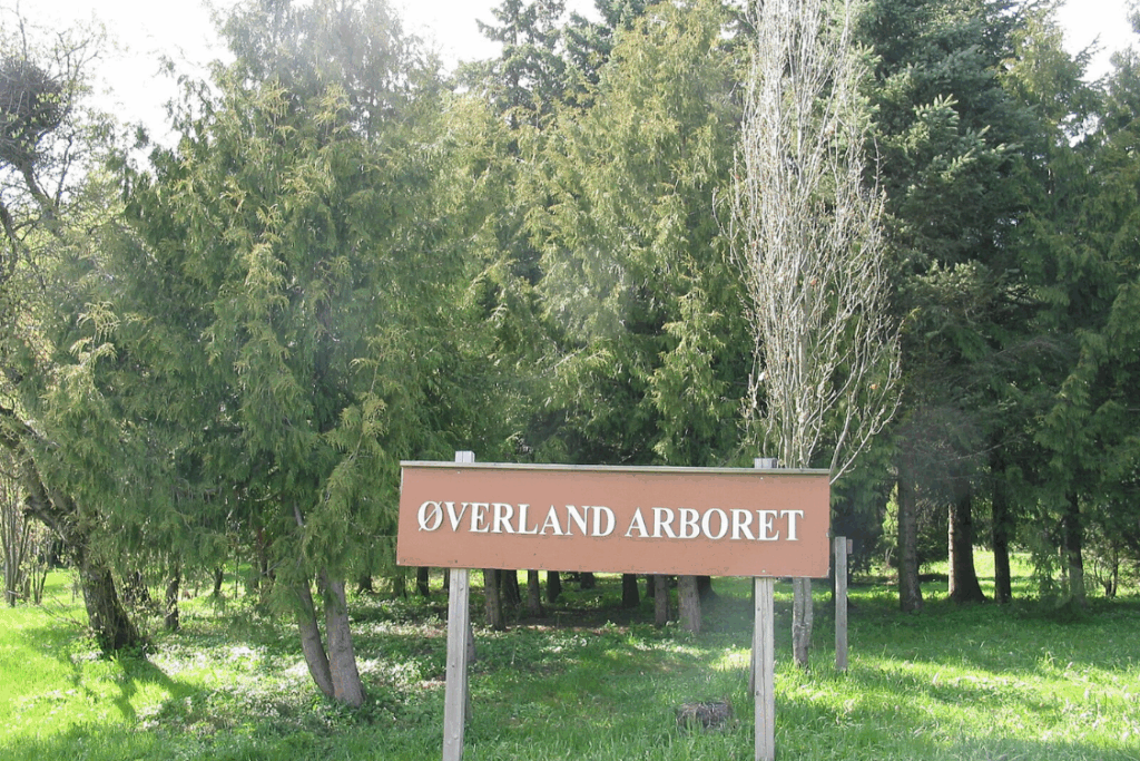 Øverland aktiviteter arboretet