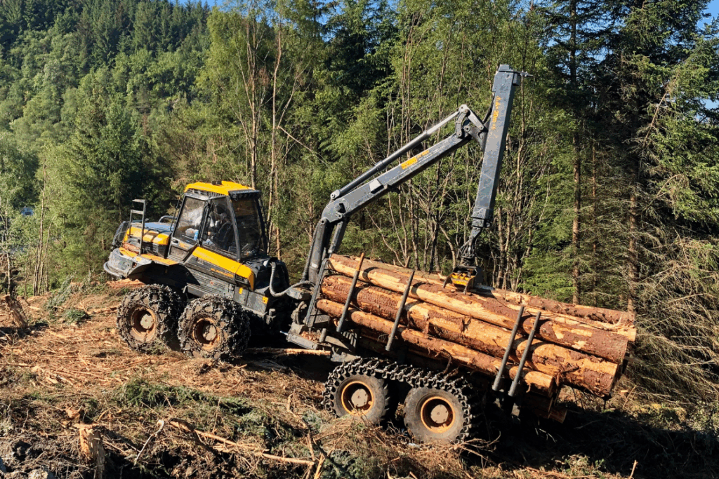 Øverland aktiviteter skogsdrift